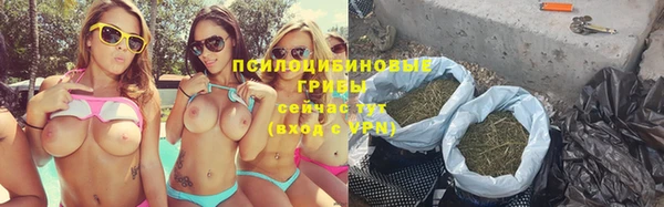 дживик Алексеевка