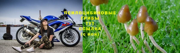 ПСИЛОЦИБИНОВЫЕ ГРИБЫ Алексин