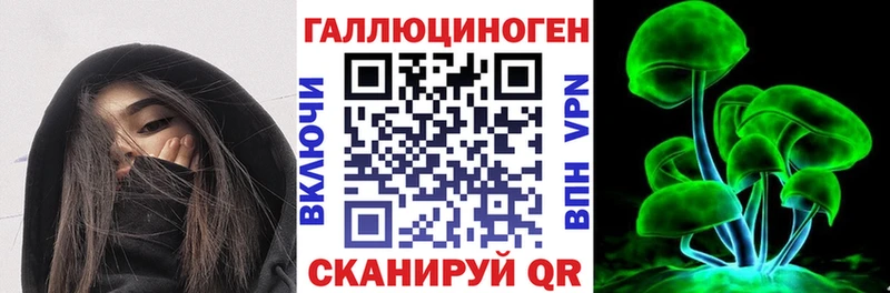 Псилоцибиновые грибы Psilocybine cubensis  Чайковский 